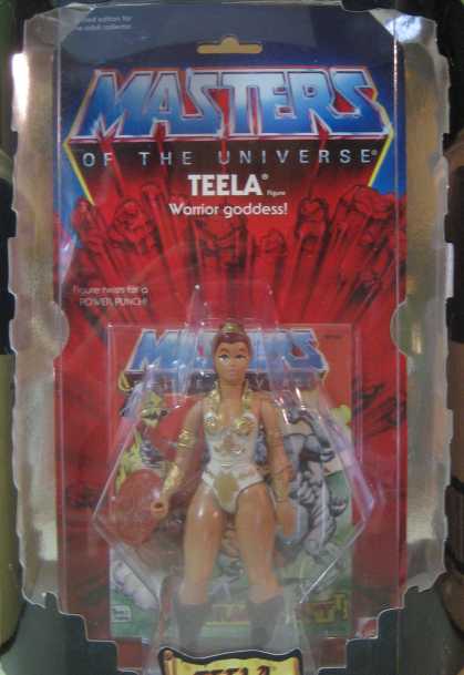 Action Figure Boxes - Masters of the Universe: Teela