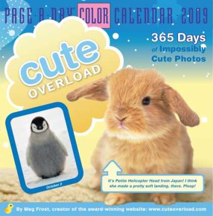 Bestsellers (2008) - Cute Overload Page-A-Day Calendar 2009 (Color Page-A-Day(r) Calendars) by Meg Fr