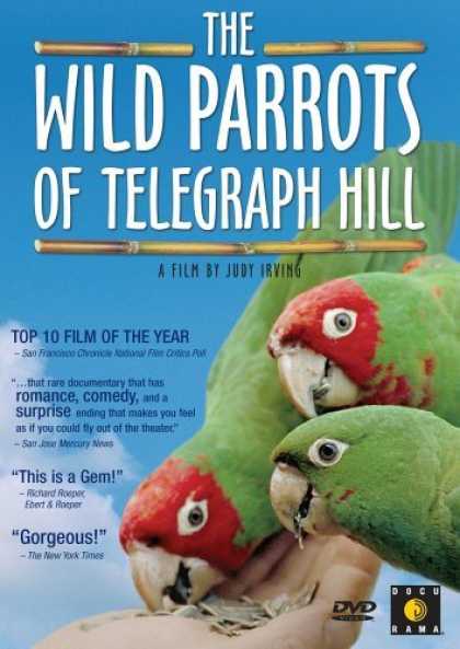 Bestselling Movies (2006) - The Wild Parrots of Telegraph Hill