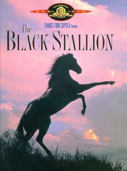 Bestselling Movies (2006) - The Black Stallion by Carroll Ballard