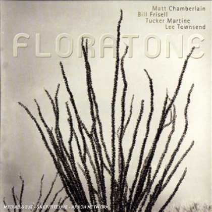 Bestselling Music (2007) - Floratone by Floratone