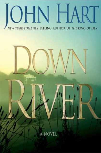 Bestselling Mystery/ Thriller (2008) - Down River by John Hart
