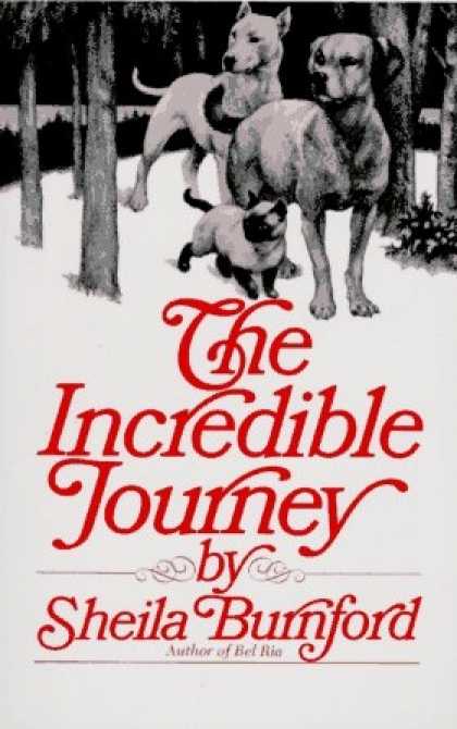 Classic Children's Books - The Incredible Journey