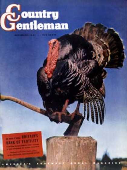 Country Gentleman - 1941-11-01: Turkey on Hatchet (Unknown)