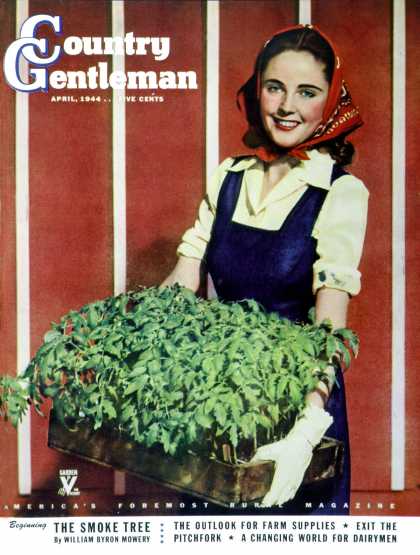 Country Gentleman - 1944-04-01: Flat of Tomatoes (L. Shorts)