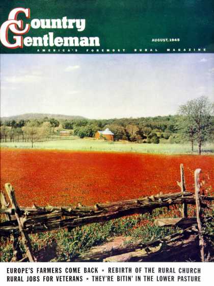 Country Gentleman - 1945-08-01: Photographic Landscape (R.A. Mawhinney)