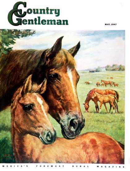 Country Gentleman - 1947-05-01: Mares and Foals (Francis Chase)