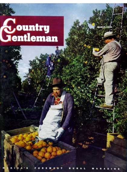 Country Gentleman - 1948-03-01: Navel Oranges (Will Connell)