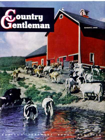 Country Gentleman - 1948-08-01: When the Cows Come Home (J. Julius Fanta)