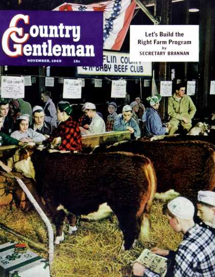 Country Gentleman - 1949-11-01: 4-H Baby Beef Club (Salvadore Pinto)
