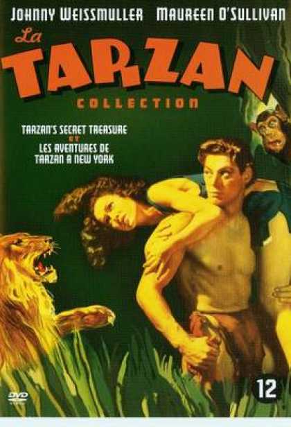 French DVDs - Tarzan Secret And New York Adventure