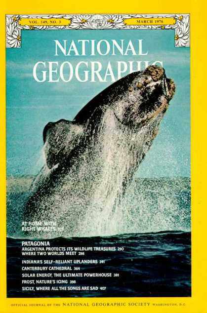 National Geographic 962