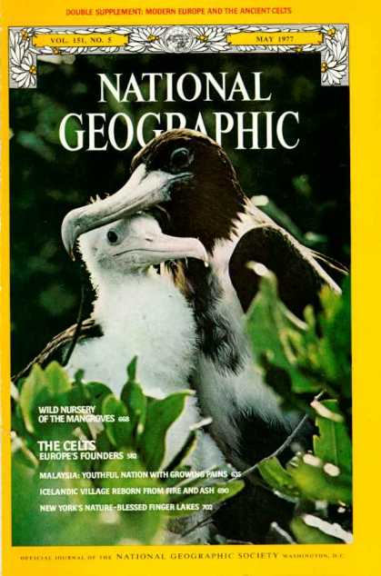 National Geographic 976