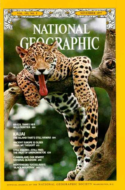 National Geographic 982