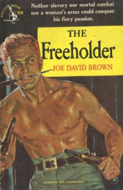 Pocket Books - The Freeholder - Joe David Brown