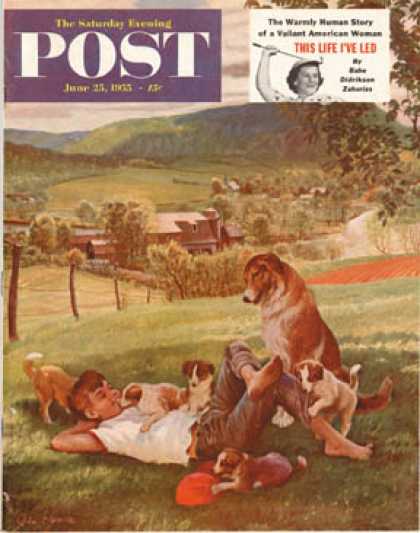 Saturday Evening Post - 1955-06-25: Dog Days of Summer (John Clymer)
