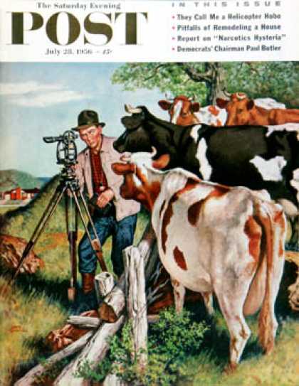 Saturday Evening Post - 1956-07-28: Surveying the Cow Pasture (Amos Sewell)