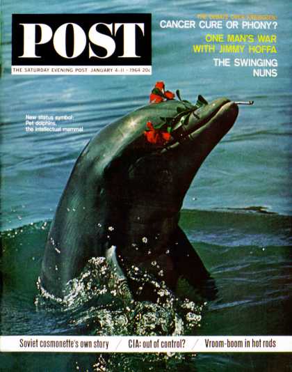 Saturday Evening Post - 1964-01-04: Trained Dolphin (Elgin Ciampi)
