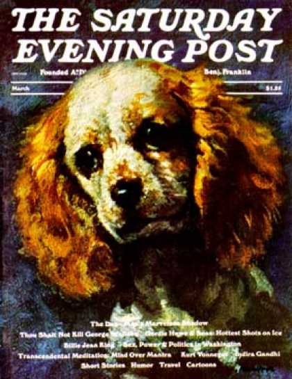 Saturday Evening Post - 1975-03-01: Cocker Spaniel (L. Mayer)