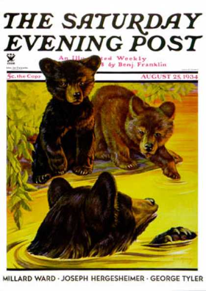 Saturday Evening Post - 1934-08-25: Bear and Cubs in River (Jack Murray)