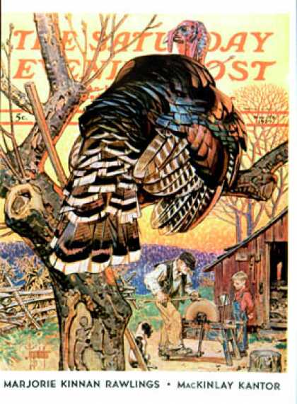 Saturday Evening Post - 1939-11-25: Turkey in the Tree (J.C. Leyendecker)