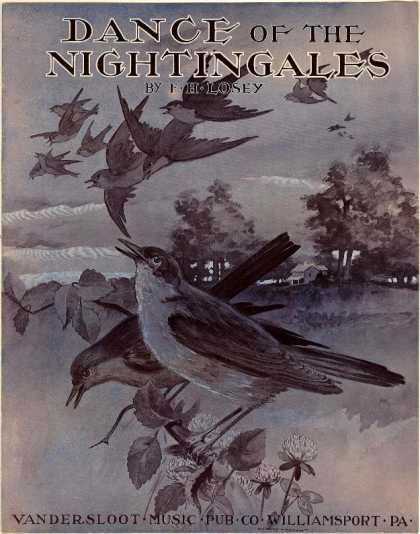 Sheet Music - Dance of the nightingales; Barn dance
