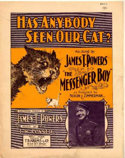 Sheet Music - Has anybody seen our cat?; Messenger boy