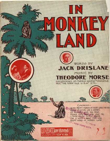Sheet Music - In monkey land
