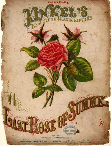 Sheet Music - Last rose of summer
