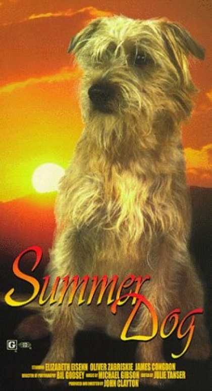 VHS Videos - Summer Dog United American
