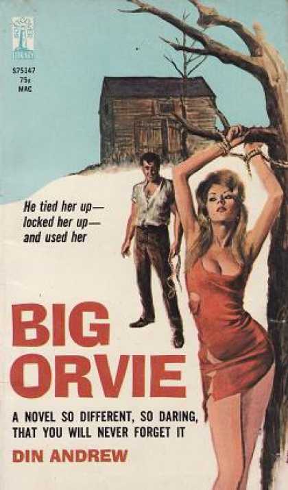 Vintage Books - Big Orvie - Din Andrew