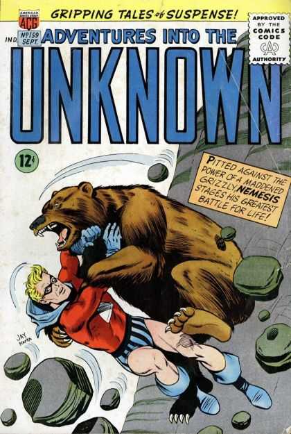 Adventures Into the Unknown 159 - Masked Man - Blonde Short Hair - Rocks - Falling Man - Grizzly