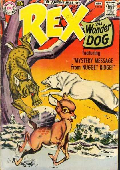 Adventures of Rex the Wonder Dog 38