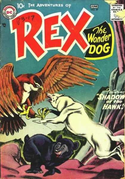 Adventures of Rex the Wonder Dog 39