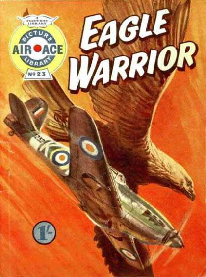 Air Ace Picture Library 23