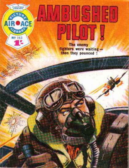 Air Ace Picture Library 263