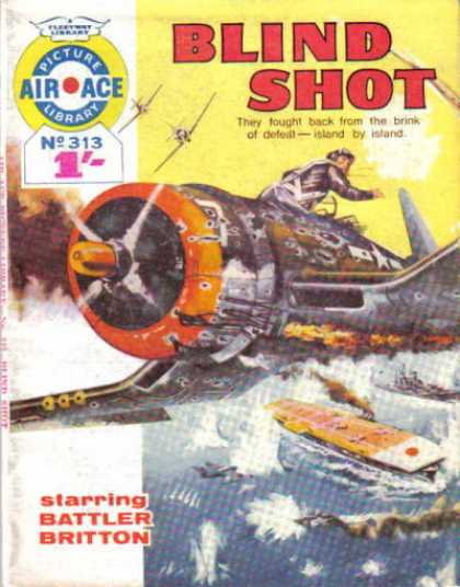 Air Ace Picture Library 313