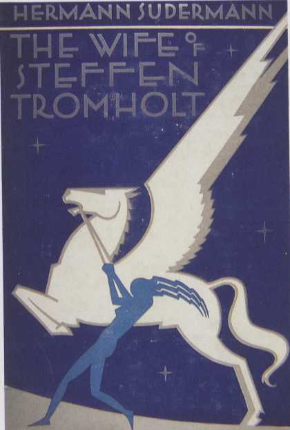 American Book Jackets - The Wife of Steffen Tromholt