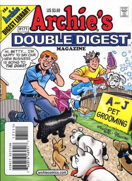 Archie's Double Digest 171