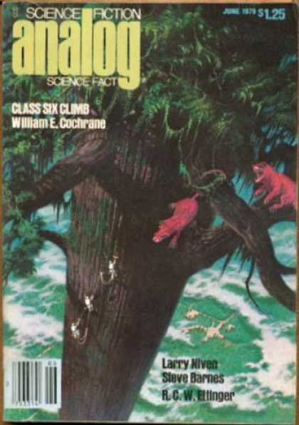Astounding Stories 583 - Tree - Class Six Climb - Cochrane - Giant Tree - 125