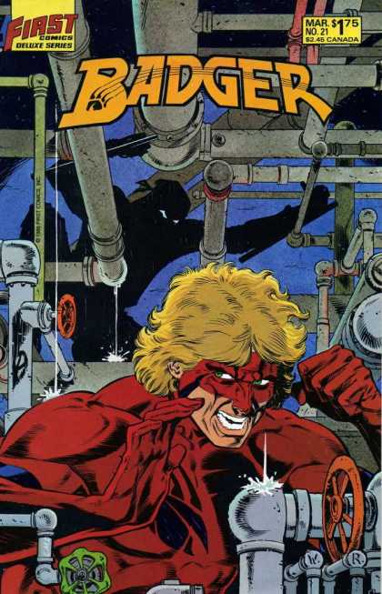 Badger 21 - Ninja In Background - Issue Number 21 - First Comics - Man Wearing Red Suit - Man Wearing Red Mask - Bill Reinhold