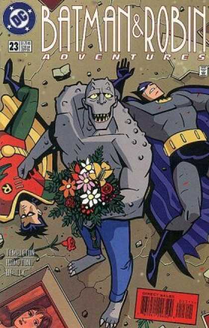 Batman & Robin Adventures 23 - Dc - Superhero - Flowers - Bouquet - Sidekick