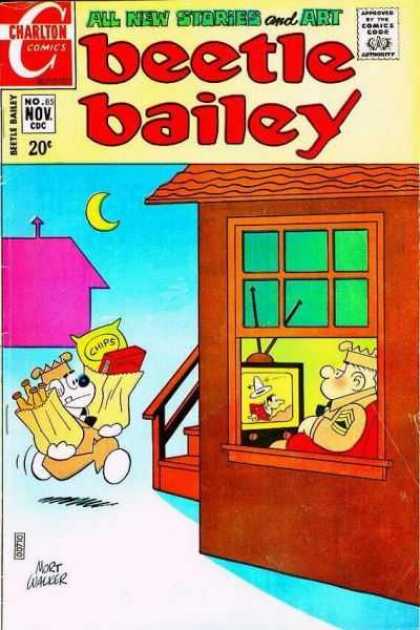 Beetle Bailey 85