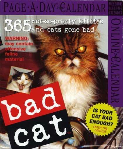Bestsellers (2006) - Bad Cat Page-A-Day Calendar 2007 (Page-A-Day Calendars) by Workman Publishing Co