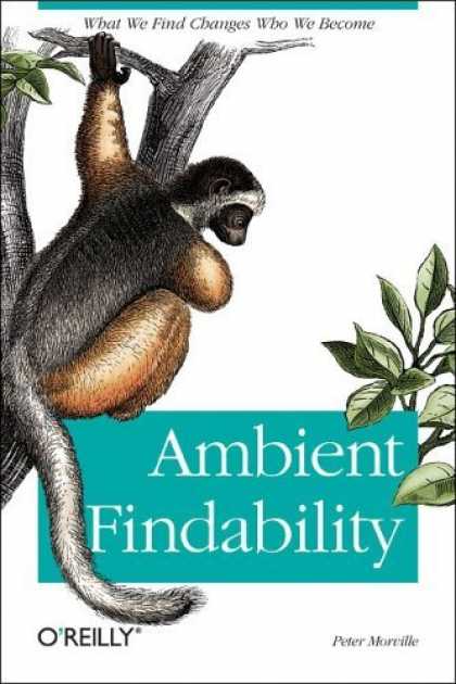 Bestsellers (2006) - Ambient Findability by Peter Morville