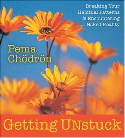 Bestsellers (2006) - Getting Unstuck: Breaking Your Habitual Patterns & Encountering Naked Reality by
