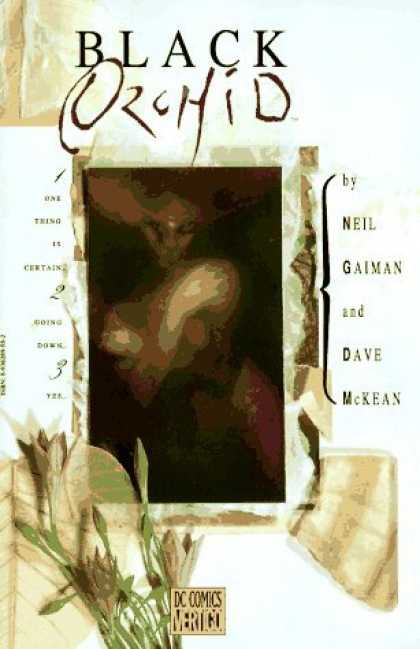 Bestselling Comics (2006) - Black Orchid by Dave McKean - Black Orchid - Neil Gaiman - Dc Comics - Vertigo - Dave Mckean