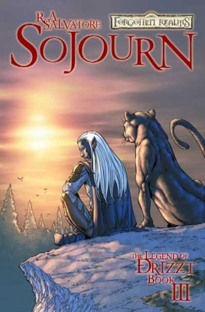 Bestselling Comics (2006) - Forgotten Realms: The Legend of Drizzt Volume 3: Sojourn (Forgotten Realms Nove