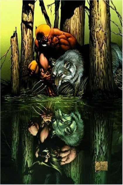 Bestselling Comics (2006) - Wolverine: Origins, Vol. 1: Born in Blood by