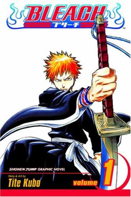 Bestselling Comics (2006) - Bleach, Vol. 1: The Death and the Strawberry by Tite Kubo